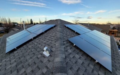 Shedding Light on Solar Panels: Your Guide to Sustainable Living